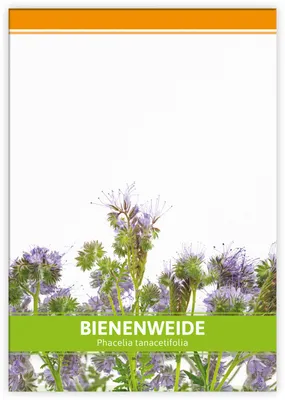 Produktbild von Bienenweide für Werbezwecke | Phaceliasamen von FLORTUS