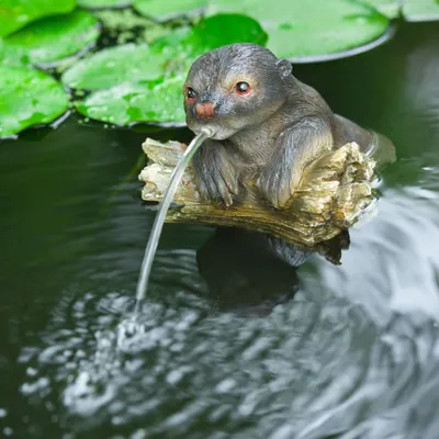 Image de Gargouille Ubbink Loutre