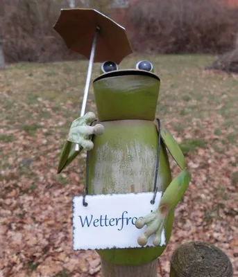 Produktbild von Zaunfigur Zaunhocker Frosch mit Schirm u. Schild Wetterfrosch Gartendeko Eisen