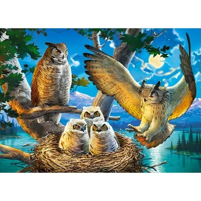 Immagine prodotto di CASTORLAND Puzzle della famiglia dei gufi 180 pezzi