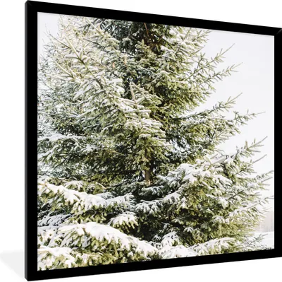 Produktbild von MuchoWow® Gerahmtes Poster Winter - Baum - Schnee 40x40 cm - Poster mit Schwarzem Bilderrahmen Wandposter Rahmen Foto Bilder - Mit Rahmen - Wanddekoration Schlafzimmer