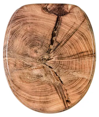 Imagen del producto de SANILO® Asiento de inodoro Old Tree, tapa de inodoro directamente del fabricante, tapa de inodoro, asiento de inodoro, tapa de váter, asiento de váter, tapa de váter