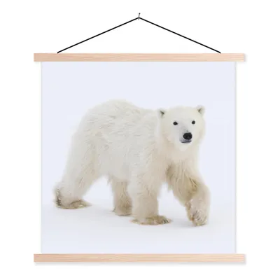 Produktbild von MuchoWow® Textilposter Eisbär - Schnee - Weiß 40x40 cm mit holzfarbenen Rahmen - Posterleiste