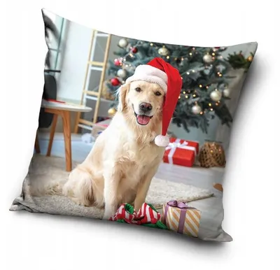 Produktbild von Carbotex Kissenbezug Weihnachten Velvet 40x40 cm