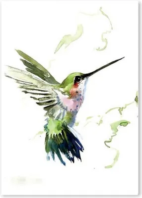 Produktbild von TPFLiving Kunstdruck LW-709 (OHNE RAHMEN) Poster - Leinwand - Wandbild - Hochauflösender Giclée-Druck, langlebig und hochwertig - Abstrakte Aquarelle mit bunten Vogel Motive - Größe: 50x70cm