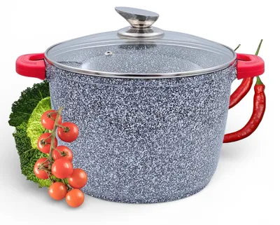 Productafbeelding van Inductiekookpan Ø 28 cm, 10,5L - Antiaanbaklaag, Met Deksel