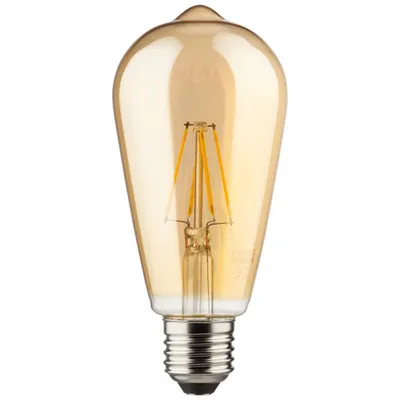 A single Edison-style LED filament light bulb against a white background.