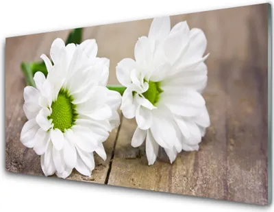 Produktbild von Acrylglasbilder 100x50 Wandbild Druck Blumen Pflanzen