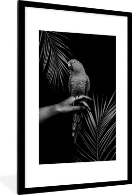 Produktbild von MuchoWow® Gerahmtes Poster Vogel vor schwarzem Hintergrund - schwarz und weiß 60x90 cm - Poster mit Schwarzem Bilderrahmen Wandposter Rahmen Foto Bilder - Dekoration - Wandposter Wohnzimmer - Hochwertig