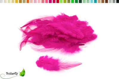 Produktbild von 3g Hahnenkreuz Federn ca. 8-13cm, Farbauswahl:fuchsia / magenta 183D