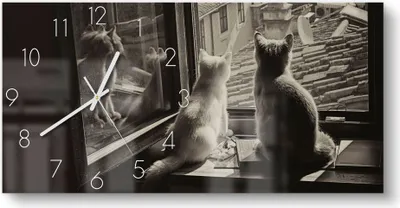 Produktbild von DEQORI Glasuhr 60x30 cm Zahlen 'Katzen auf Fensterbrett' Wanduhr Glas Uhr Design leise