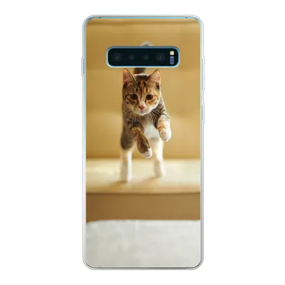 Produktbild von MuchoWow® Handyhülle Schutzhülle Hülle für Samsung Galaxy S10 Plus Katze - Frühling - Stuhl Silikon Softcase Handy Hülle - Schutzhülle