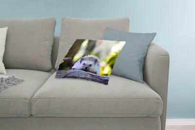 Produktbild von MuchoWow® Zierkissen Sofakissen Wohnzimmer Dekokissen 60x40 cm Igel liegt auf Holz - Kopfkissen - Polster mit Foto
