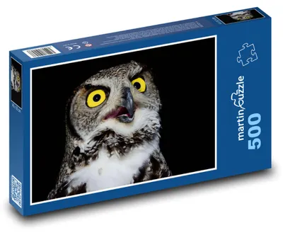 Produktbild von Puzzle 500 Eule mit gelben Augen - martinpuzzle