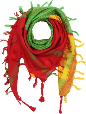 Produktbild von Palituch - bunt-mehrfarbig 06 - Kufiya PLO Tuch