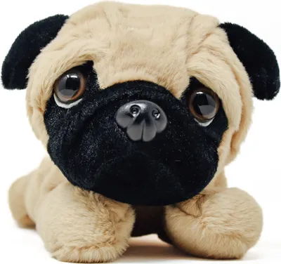 A close-up studio shot of a plush pug dog toy.