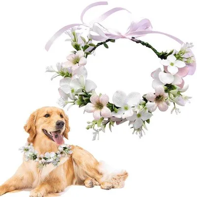 Produktbild von Halsband mit Blumen für Hunde - Verstellbare Blumenkrone - Geeignet für kleine Rassen und kleine Hunde