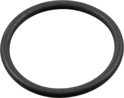 Produktbild von FEBI BILSTEIN Dichtring Kühlmittelrohrleitung 180599 für VW Golf IV Schrägheck (1J1) 2mm FKM (Fluorkarbon-Kautschuk) 22mm 0,001kg