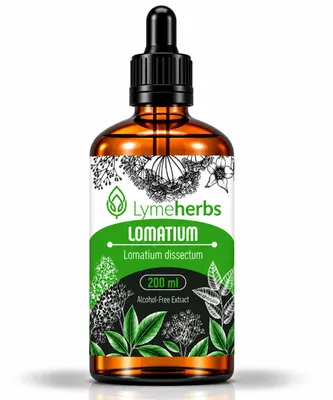 Imagen del producto de Extracto Sin Alcohol de Lomatium (200ml), Imagen generada por IA
