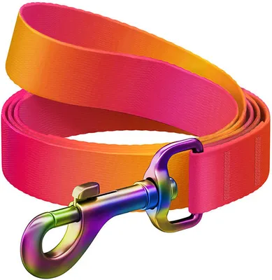 Immagine prodotto di Waudog Guinzaglio in nylon sfumato per cani, L 15 m, L 122 cm, arancione