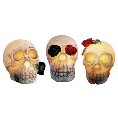 Produktbild von 3x Schädellaternen, Dekoration - Halloween
