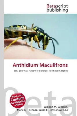 Produktbild von Anthidium Maculifrons