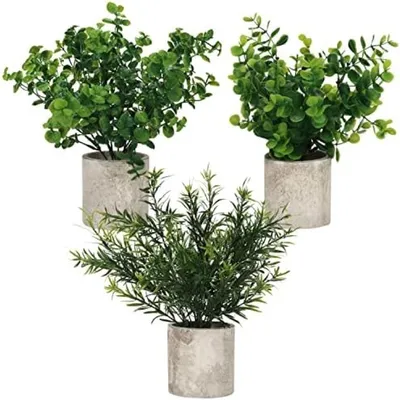 Produktbild von PolkaHome® Künstliche Eukalyptus Pflanzen Set mit 3 – Grüne Kunstpflanzen in Töpfen, 24–28,5 cm, für Wohnzimmer, Büro, Küche, Bad
