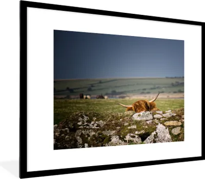 Produktbild von MuchoWow® Gerahmtes Poster Schottischer Highlander- Steine- Moos 80x60 cm - Poster mit Schwarzem Bilderrahmen Wandposter Rahmen Foto Bilder - Schlafzimmer-Dekorationen - Fotoposter