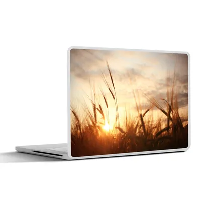 Produktbild von MuchoWow® Laptop Aufkleber Sticker Cover Schilf - Gras - Sonnenuntergang - Natur - Horizont 30x22 cm - Laptop-Sticker