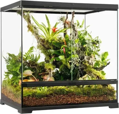 Exo Terra Kokosnussschale 4,4 L - Natürliches Terrarium Substrat
