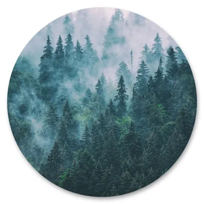Produktbild von Sticker rund BÄUME im Nebel Wald Pflanzen Grün Landschaft 3D Wanddeko Wandtattoo Aufkleber Wohnzimmer Schlafzimmer 100 cm x 100 cm