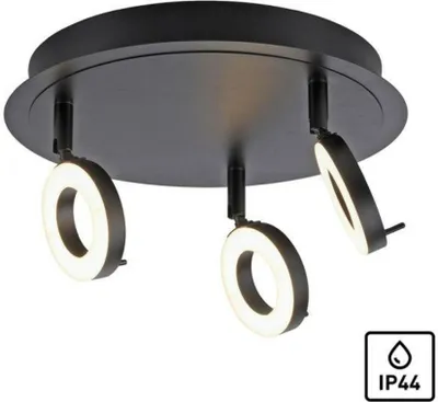 Zdjęcie produktu dla Reflektor sufitowy LED antracyt PAUL NEUHAUS, 3 ramiona, IP44, 3000K