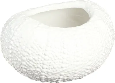 Produktbild von Deko Schale Keramik Weiß Maritim Oval 19x15x8,5 cm