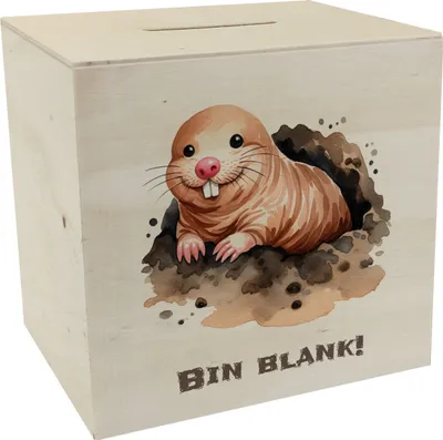 Produktbild von Nacktmull Spardose aus Holz mit Spruch Bin blank!
