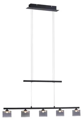 Obrázek produktu pro Závěsné svítidlo LED 5x4W HYDRA 2209-18 Paul Neuhaus