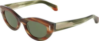 Produktbild von Ferragamo SF2062SE Striped brown green 49/23/145 Damen Sonnenbrillen