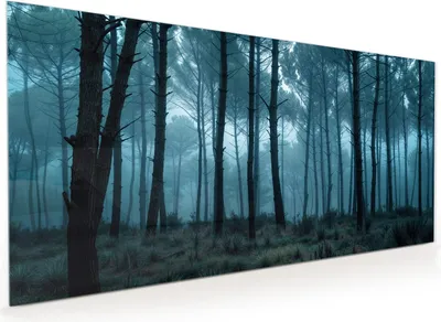 Produktbild von Küchenrückwand Spritzschutz Glas mit Motiv Nebeliger Wald 40 x 40 cm