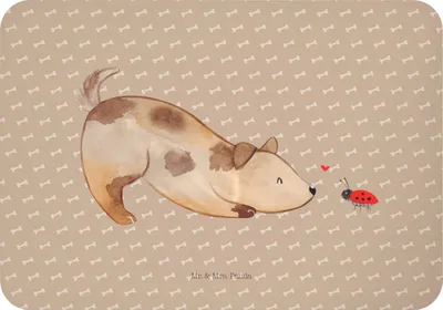 Produktbild von Mr. & Mrs. Panda magnet Hund Marienkäfer - Hundeglück - Geschenk, Neugierig, rechteckmagnet, whiteboardmagnet, haftmagnet, Pinnwandmagnet, Sprüche, Mischlinghund, Hunde