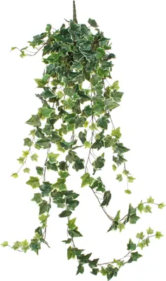 Produktbild von Kunstpflanze Hedera Efeu hängend Mica Decorations 24 x 15 x 130 cm grün