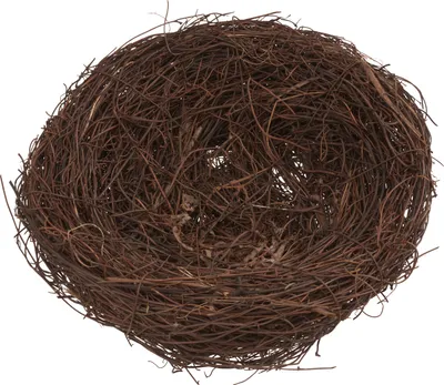 Produktbild von VBS Reisig Nest 20 cm Deko Vogelhaus Naturmaterialien für Bastelprojekte