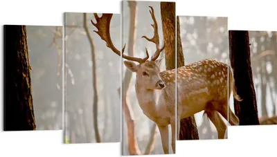 Produktbild von Bild auf Leinwand - Leinwandbild - Kitz Hirsch Tier wild - 160x85cm - Wand Bild - Wanddeko - Leinwanddruck - Bilder - Kunstdruck - Wanddekoration - Leinwand bilder - Wandkunst - EA160x85-2400