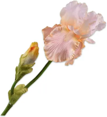 Produktbild von Kunstblume Iriszweig aus Seide, 79 cm, Zalmweiß, für Dekoration
