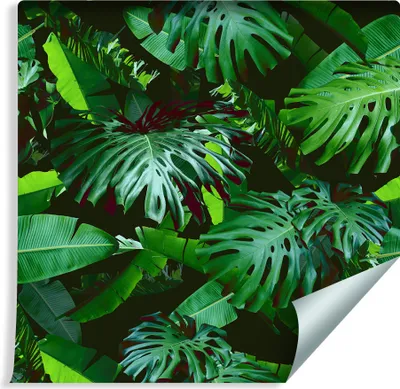 Produktbild von 10m VLIES TAPETE Rolle Grüne Moderne Tropische Blätter NATUR XXL