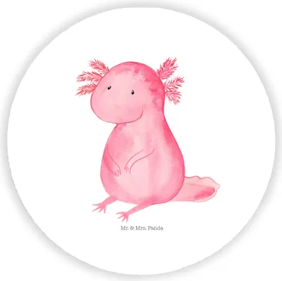 Produktbild von Mr. & Mrs. Panda magnet Axolotl Niedlich - Weiß - Geschenk, Freundin, für kühlschrank, Weisheit, Lebensweisheit, pinwand, Fröhlich, Liebe, mit motiv, Kühlschrankmagnet