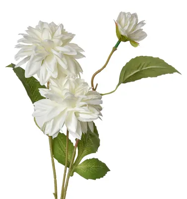Immagine prodotto di Fiore artificiale Clayre & Eef 70 cm in plastica bianca