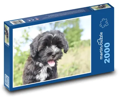 Zdjęcie produktu dla martinpuzzle - Puzzle 2000 - Hawański piesek