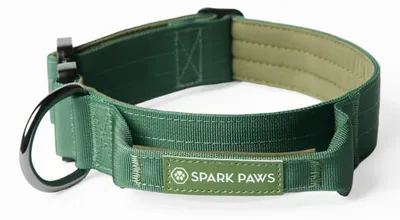 Taktisches Hundehalsband, Nylon, Grün, L (4 cm)