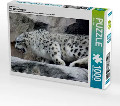 Produktbild von Calvendo Ein Motiv aus dem Kalender Der Schneeleopard 1000 Teile Puzzle quer 640x480mm, Klatt Arno; 7292748