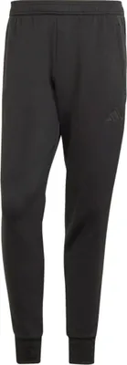 Produktbild von Hosen Adidas JD9082