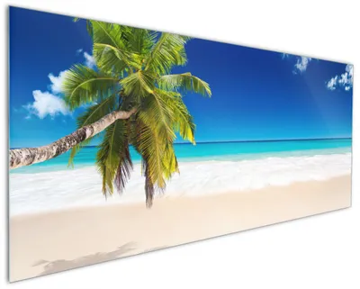 Produktbild von Wallario Küchenrückwand aus Glas, Größe: 125 x 50 cm, Motiv: Südseestrand in der Karibik mit Palme | Spritzschutz | abwischbar | pflegeleicht | in